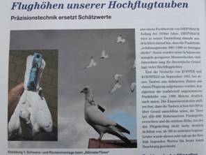 von-Ramin-IMG_4771.jpg