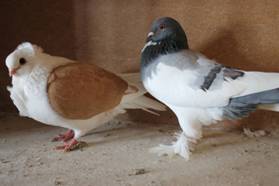 IMG_5793-web.jpg